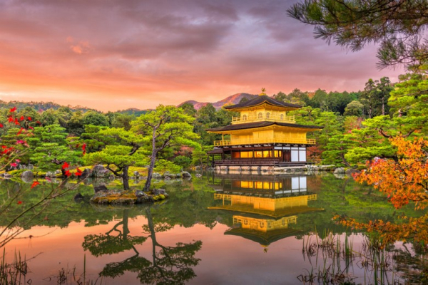 Đền Vàng Kinkakuji Đẹp Nhất Vào Mùa Nào? Ảnh Thực Tế Qua 4 Mùa Và Mẹo Chụp Ảnh Không Bị Đông Người