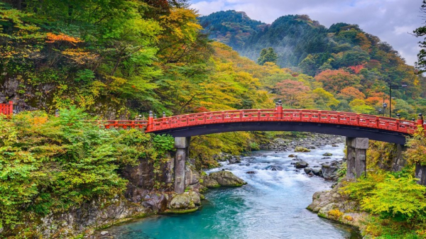 Nikko Từ Tokyo Có Đáng Đi Trong Ngày Không? Đền Toshogu, Thác Kegon Và Lịch Trình Một Ngày