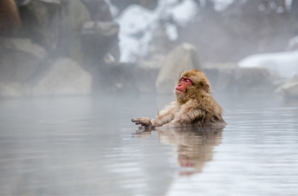 Tắm Onsen Ngoài Trời Ngắm Tuyết Ở Nhật: Nơi Nào Đẹp Nhất, Giá Bao Nhiêu