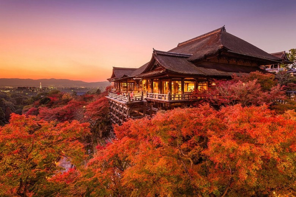 Chùa Kiyomizu-Dera Kyoto Có Gì? Đẹp Nhất Vào Mùa Nào, Giá Vé Và Mẹo Tránh Đám Đông