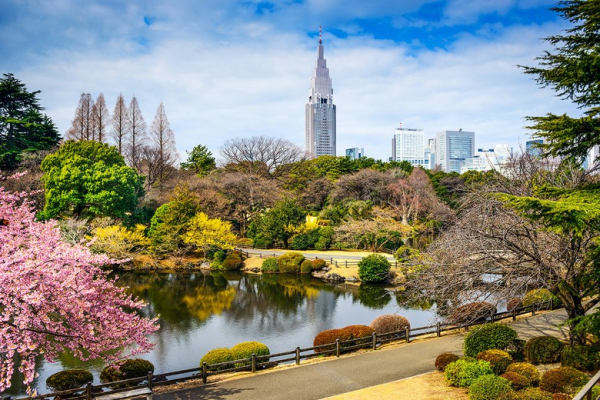 Vườn Shinjuku Gyoen Có Đáng Ghé Không? Mùa Nào Đẹp Nhất, Vé Vào Bao Nhiêu Và Mất Bao Lâu