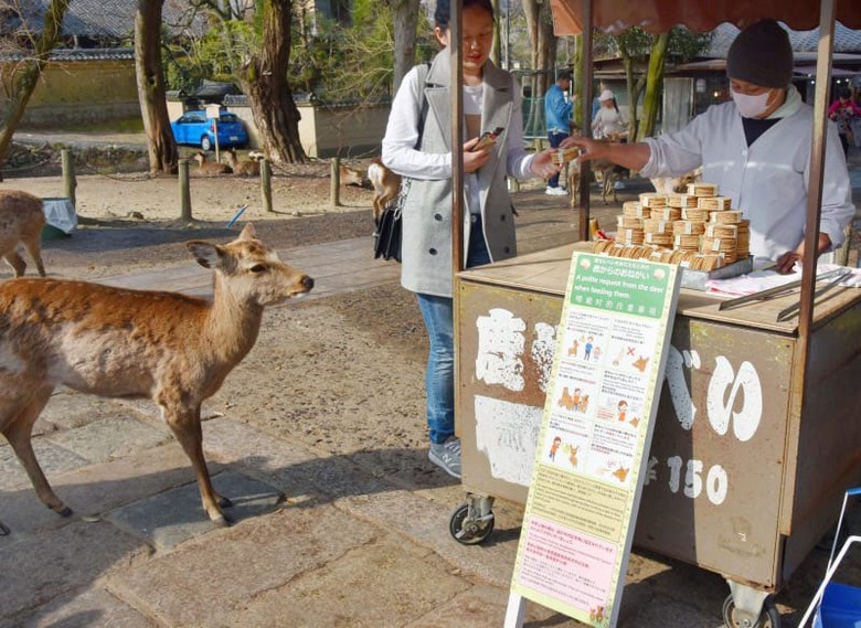 Xấp bánh shika senbei và quầy gỗ bán bánh trong công viên Nara