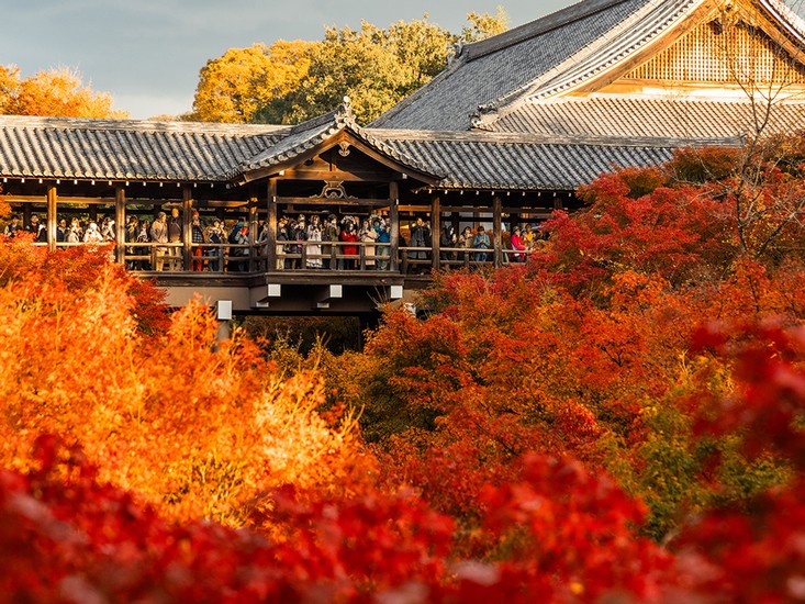 Đền Tofuku-ji Kyoto