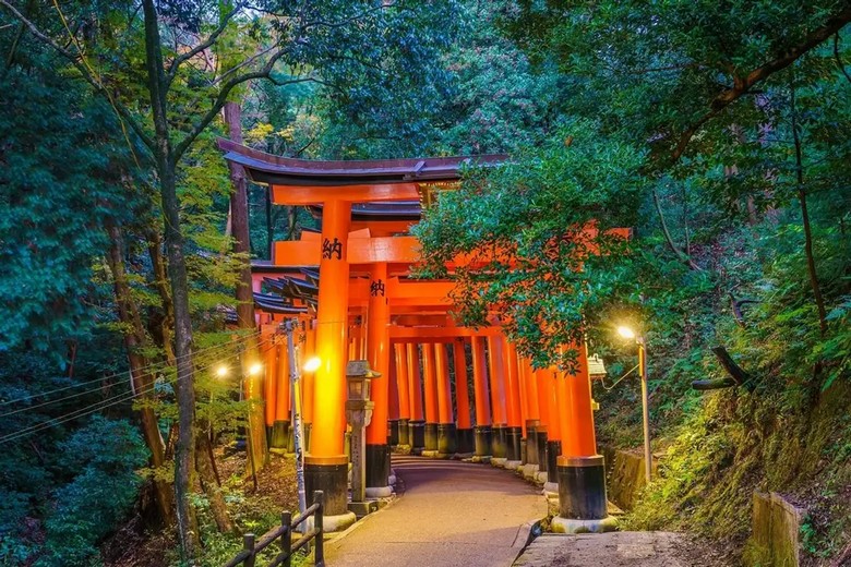 Đường hầm cổng torii đỏ tại Fushimi Inari, ánh sáng buổi chiều lọc qua tạo hiệu ứng đậm nhạt đẹp