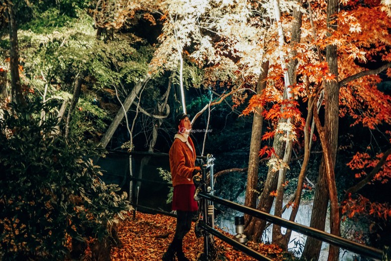 Du khách mặc áo ấm chụp ảnh giữa rừng phong đỏ vào buổi sáng se lạnh