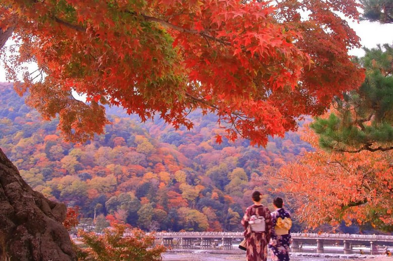Hàng cây lá đỏ momiji rực rỡ ở Kyoto vào tháng 11