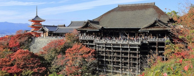 Sân gỗ nổi tiếng của Kiyomizudera nhìn từ bên hông, thấy toàn bộ cấu trúc chùa chênh vênh trên sườn núi