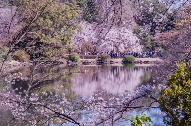 Cổng vào và lối đi rợp cây ở Shinjuku Gyoen