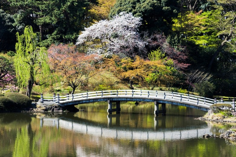Vườn Nhật truyền thống với hồ và cầu ở Shinjuku Gyoen