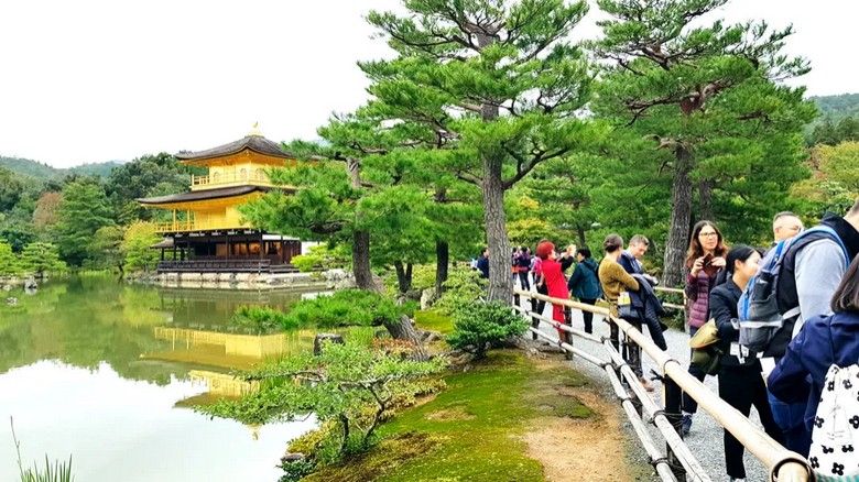 Đoàn khách tham quan Kinkakuji vào buổi sáng