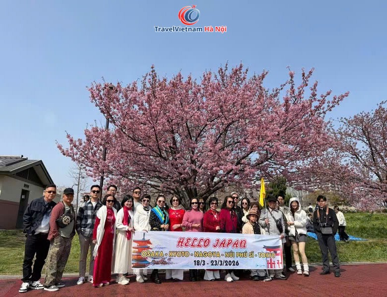 Đoàn khách TravelVietnam Hà Nội dưới cây anh đào