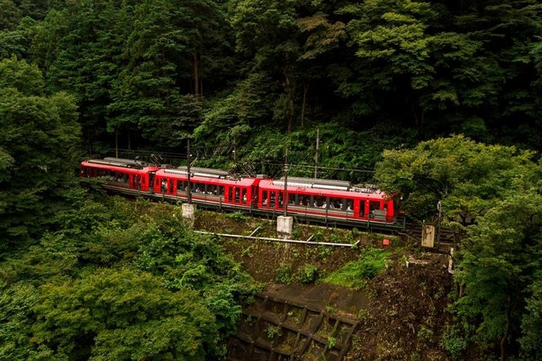 Tàu núi Hakone Tozan chạy qua rừng