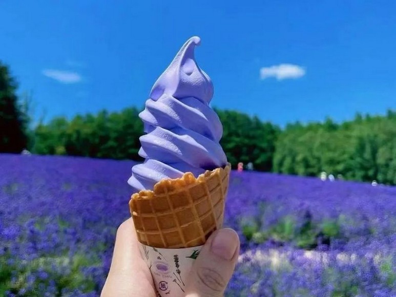 Kem tươi oải hương màu tím pastel đặc sản Furano