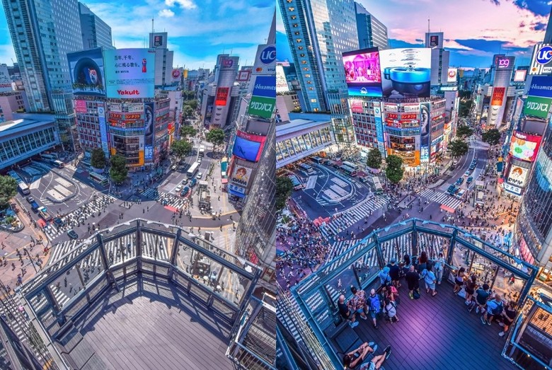 Toàn cảnh Shibuya và vạch kẻ đường nhìn từ đài Shibuya Sky