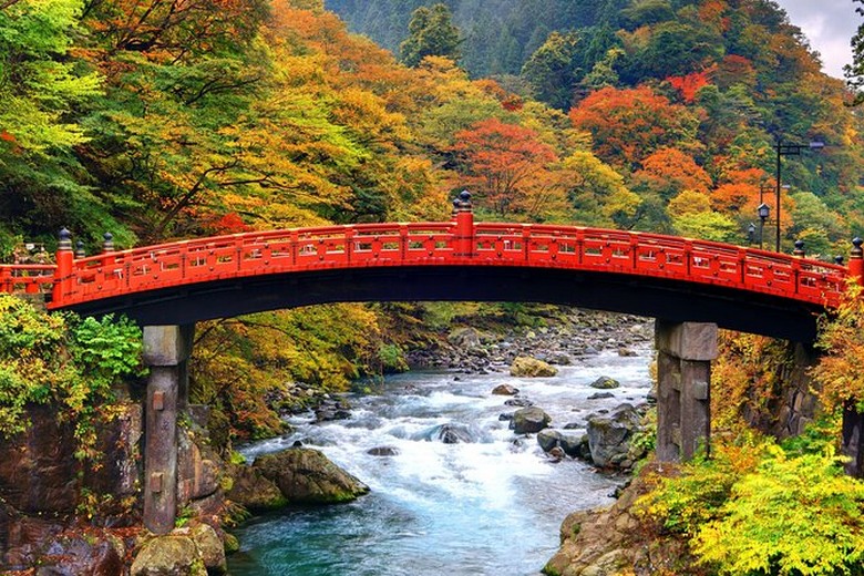 Cầu Tsutenkyo - Tofukuji nhìn từ trên cầu xuống thung lũng lá đỏ