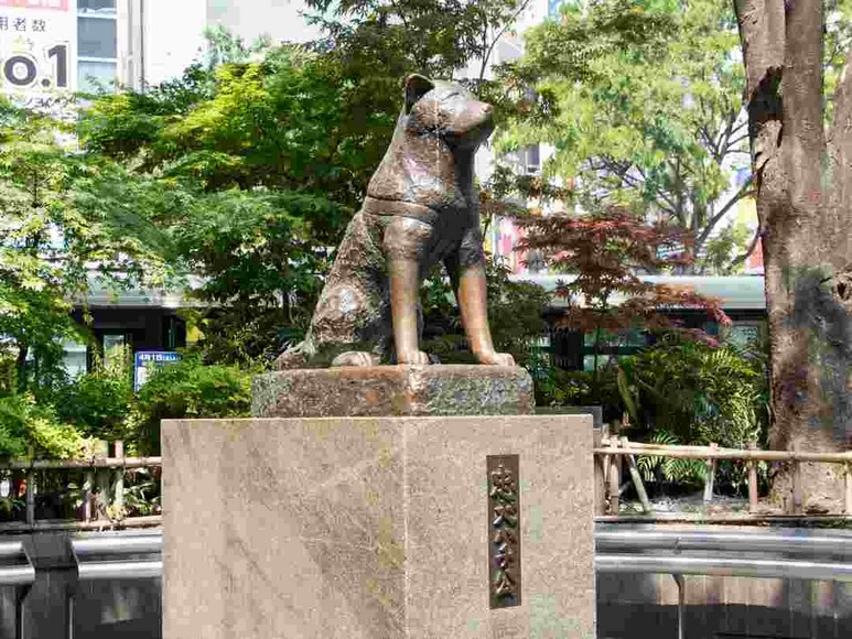 Tượng chó Hachiko trước ga Shibuya